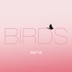 Birds Single