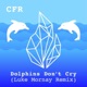 Dolphins Don t Cry feat Luke Mornay Single