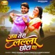 Jab Tera Lalla Chota Tha Single