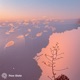 clouded Single