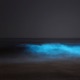 Bioluminescence EP