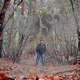 Lost Single