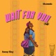 Wait for You Fuji Single