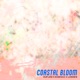 Coastal Bloom Single
