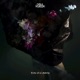 Echo of a Lifetime EP