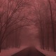 foggy winter Single