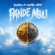 Pande Mbili feat Country Wizzy Single