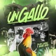Un Gallo Single
