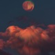 Insomnia Single