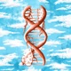 DNA feat Slyme Young Single