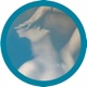 Mistress 16