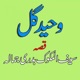 Qessa Sefulmaluk Badrai Jamala