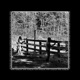 Workin Man Single