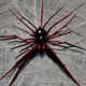 Spiderman Rap Single