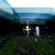 Dreamland Part 1 Rhombus Flower