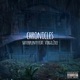 Chronicles feat Virgil2ice Single