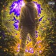 Burning Eden