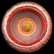 Phase Transition EP