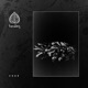 Vodě Single