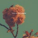 Lonely Love Single