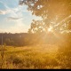 Sunny days Remastered feat AutumnTorch Single