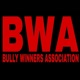 Bully Winners Association Single