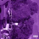 Carpe Diem Chronicles EP EP