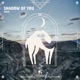 Shadow of You Single