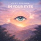 In Your Eyes Single