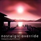 Nostalgic Override Single