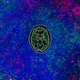 How Does the Brain Respond to Works of Art Single