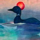 Dawn By The Loon Single