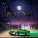 Moonlit Drive Single