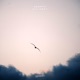 Fly Away Single
