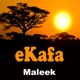 eKafa Single