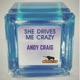 She Drives Me Crazy Single