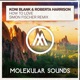 How to Love Simon Fischer Remix Single