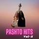 Pashto Hits Vol 5 Single