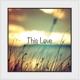 This Love Single