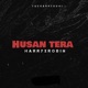 Husan Tera feat Robin Sohi Single