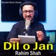 Dil o Jan Single