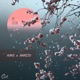 Bliss Single