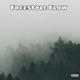Freestyle Flow feat Young Boi Single