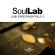 Lab Experimentals II Single