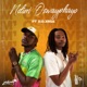 Ndim Oswayphayo feat D O XRSA Single