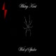 Web of Spider