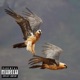 Vulture Cry Single