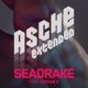 Asche Extended feat Dorian E EP