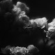 Flowers EP