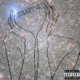 lut feat LULTWOTIMES Single